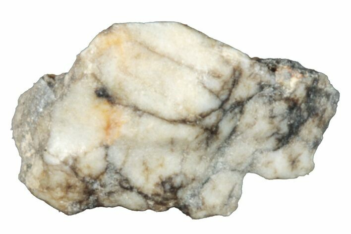 Aubrite Meteorite Fragment - Djoua #283635